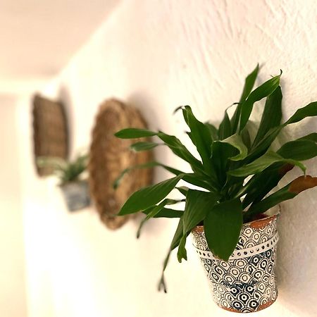 Casa Mia Mola di Bari Exterior foto